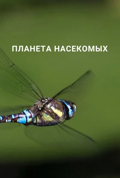 Планета насекомых (2022) онлайн бесплатно